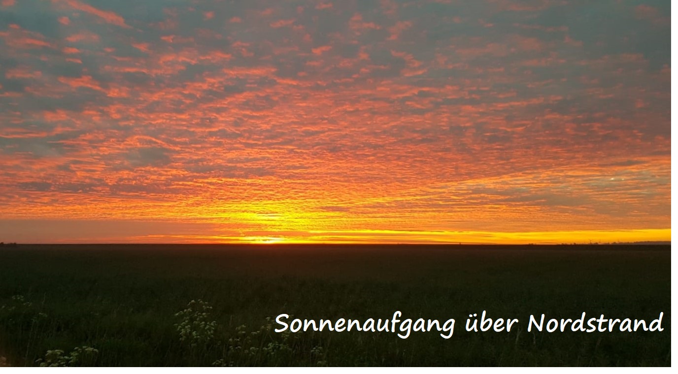 Sonnenaufgang_262019.jpeg